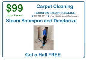 99 dollars off 3 bedroom steam clean